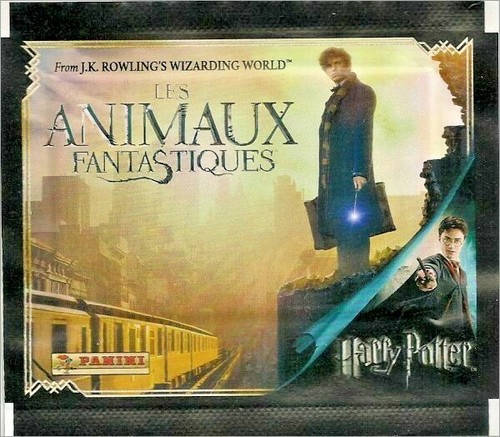 Rare pochette panini jamais - panini,