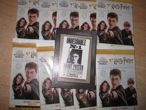 Harry potter panini - panini, wizarding